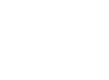 Web8X Logo